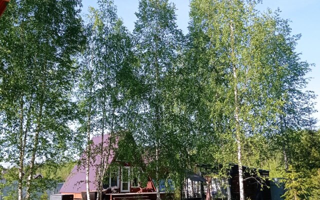 Hide Forest Private House