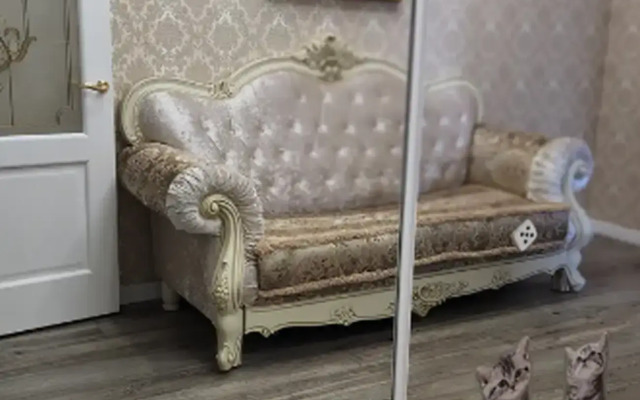 Квартира на улице Свободы 19