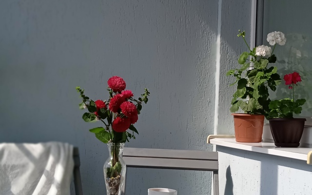 Квартира у Южного автовокзала