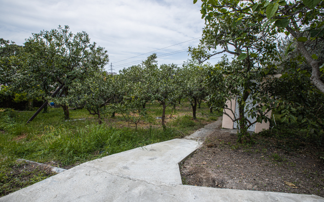 S Mandarinovim Sadom Private House