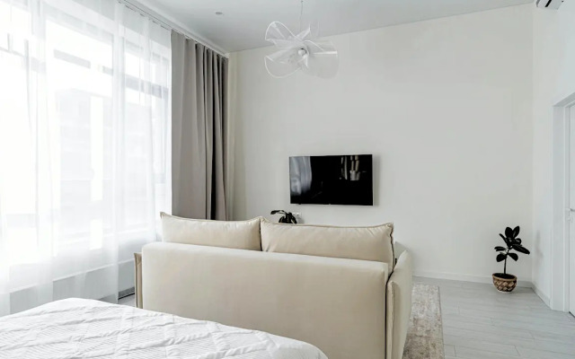 Khrizantema Flat