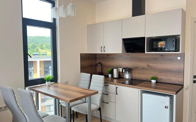 S Balkonom Apartments