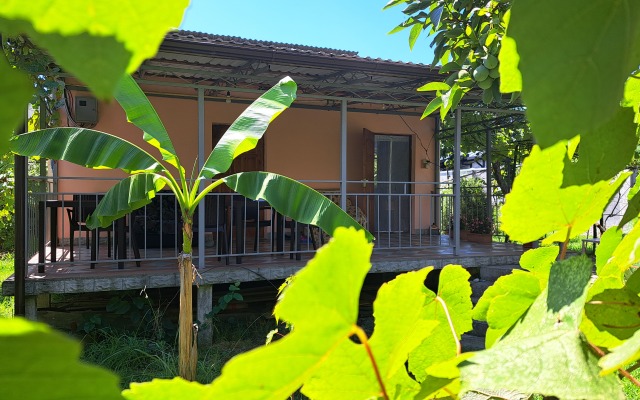 Nadezhda Guest house