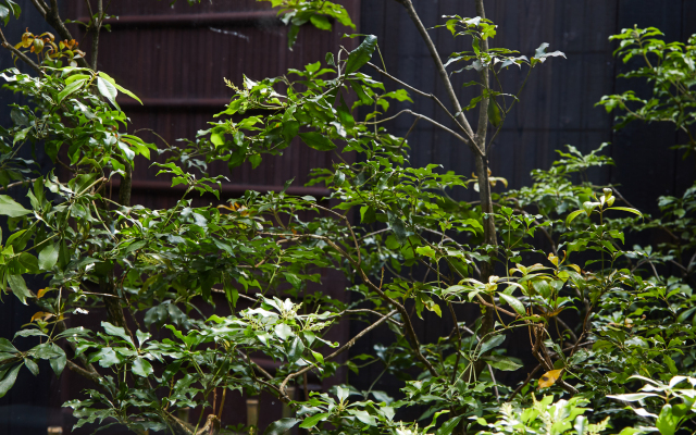 Вилла Washi No Yado