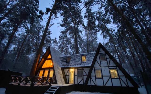 Shale Bunyrevskiy Treugolnik Chalet