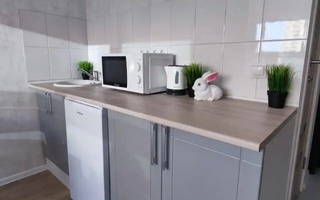 Uyutnaya studiya Flat