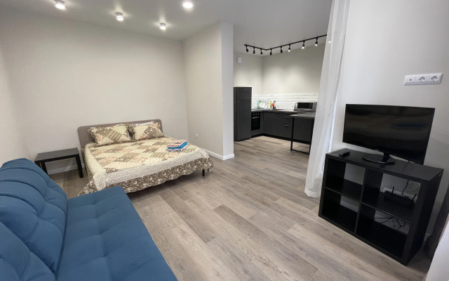 Квартира на Державина 47