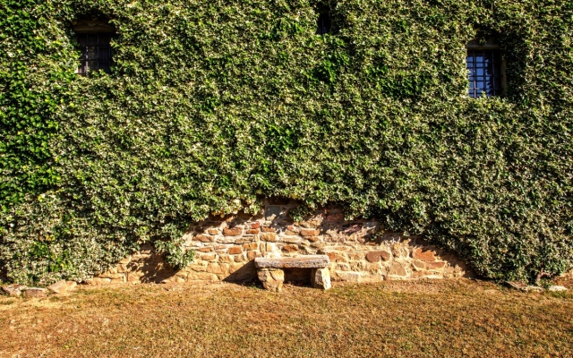 The Cosoli Villa