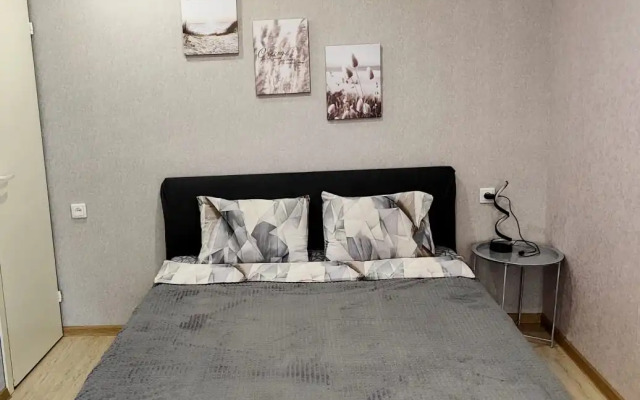 Апартаменты В центре Петрозаводска около вокзала