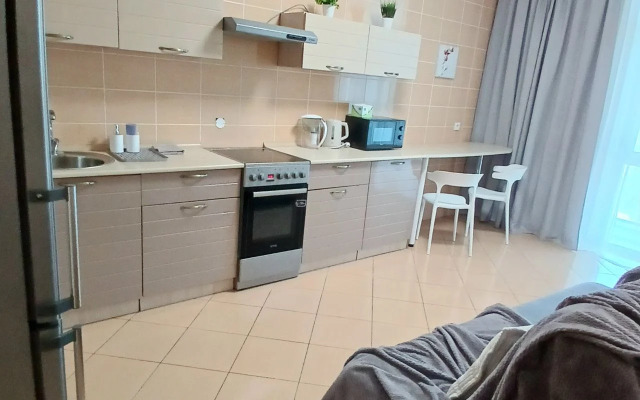 Квартира с видом на центральный стадион