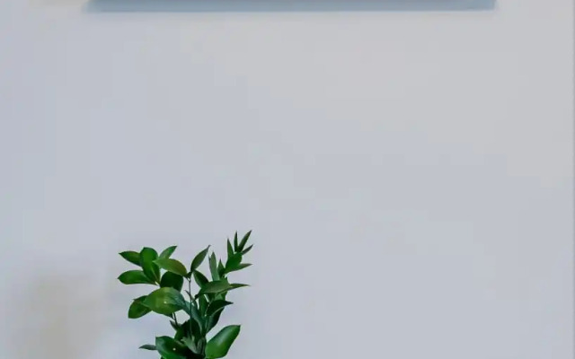 Апартаменты Двухкомнатные Apart Seasons Белинского 177/3