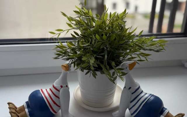 Квартира Студия Река в ЖК Сердце Ярославля с Алисой