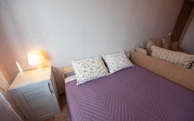 Dvukhkomnatnaya V Novom Petergofe Flat