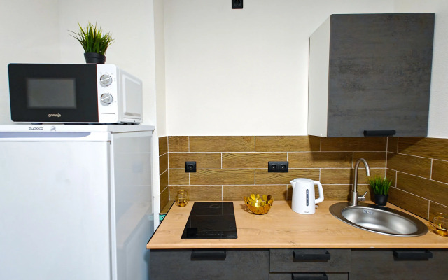 Квартира в Центре Екатеринбурга 2