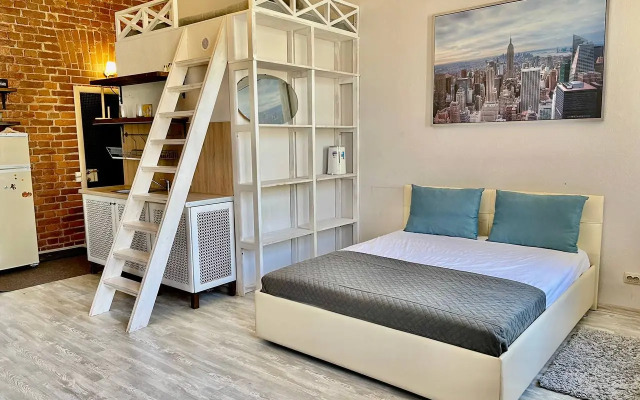 Квартира Просторная студия у театра Андрея Миронова