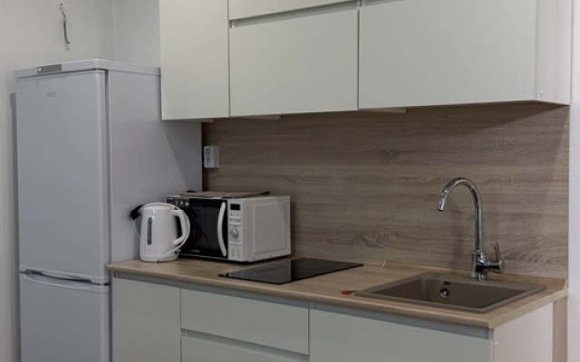 Апартаменты Уютная евродвушка в Щербинке