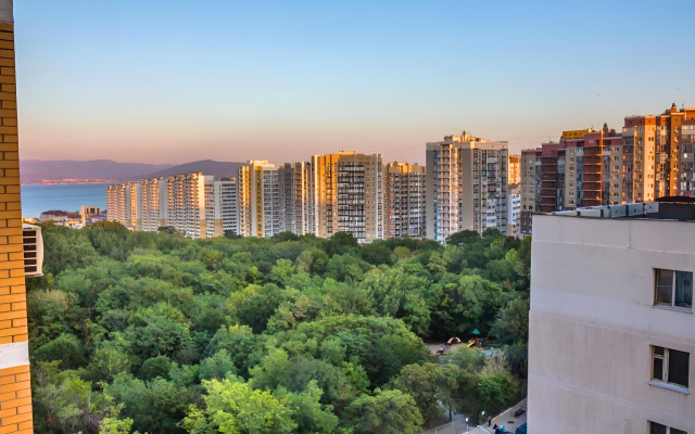 Pionerskaya Roscha Apartments