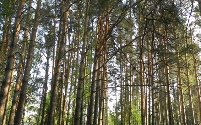 Sanatoriy Kamskie Zori