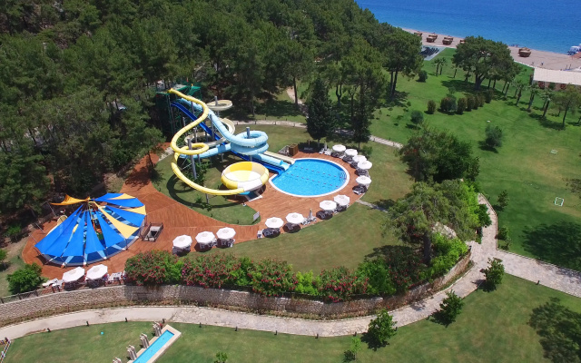 Juju Premier Palace 