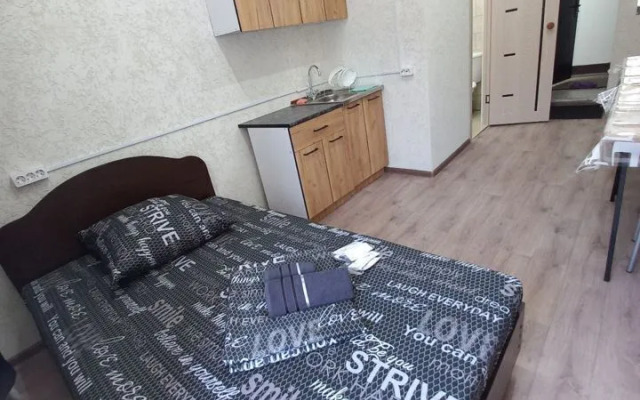 Студия на Горького 48 (15)