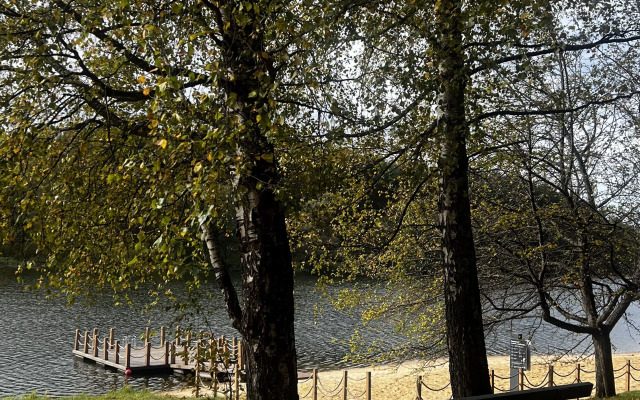 Частный дом в березах