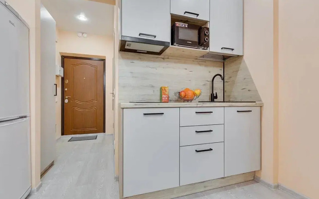 Квартира МишЛен рядом с метро пр.Просвещения