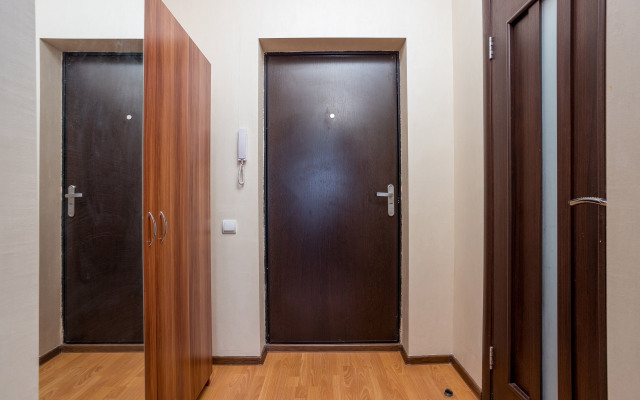 Аппартаменты Петра Метальникова