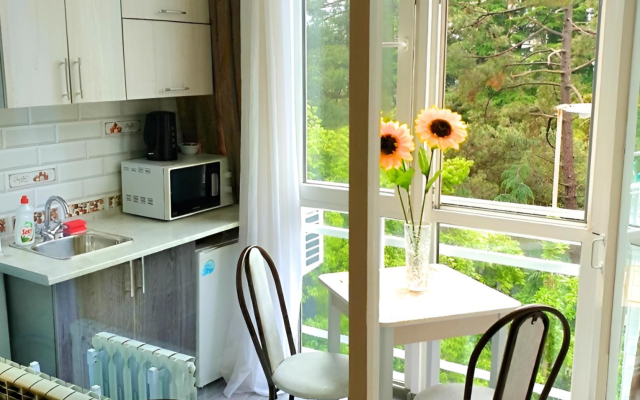 Svetlana U Morya Apartments