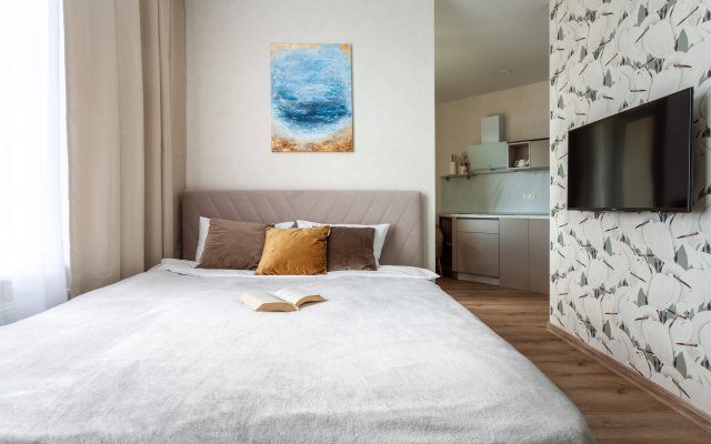 Laguna Frunzenskaya Flat
