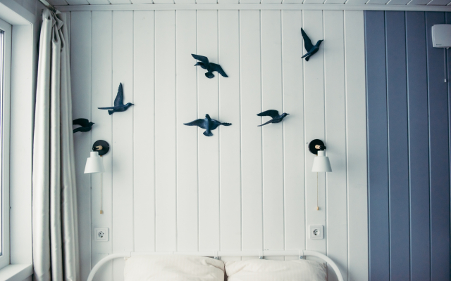 Глэмпинг Вид-Глэмп