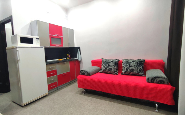 Nebolshaya uyutnaya studiya v tsentre Flat