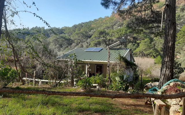 Mürteza Çam Private house