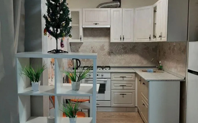 Квартира на Калинина 39