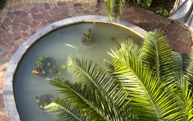 Boutique hotel AIMARA