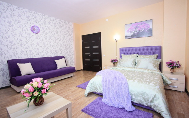 Квартира однокомнатная на Алексеева 45