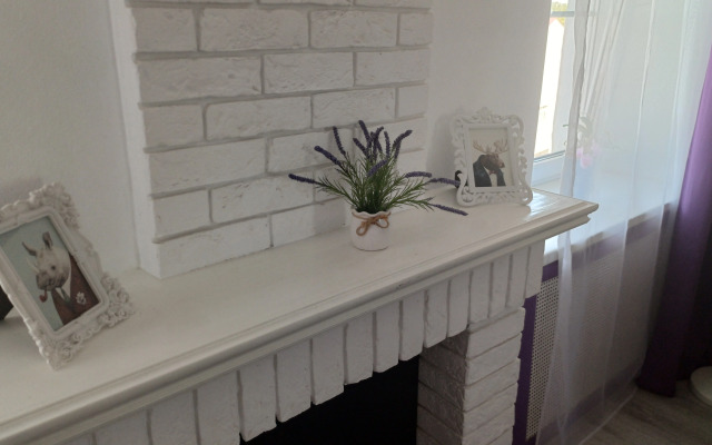 Lavanda Na Ploschadi Lenina Apartment