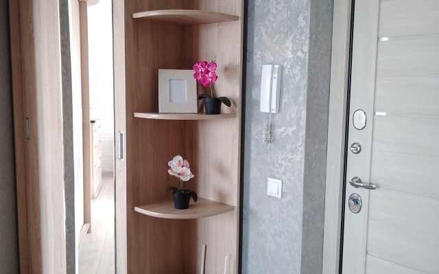 Domashniy uyut, v novom dome, v tsentre goroda Apartaments