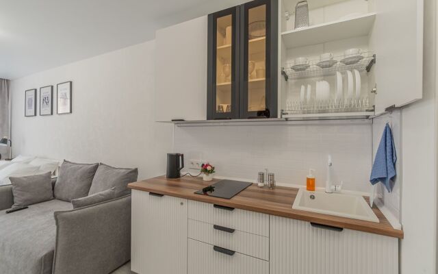 Studiya Na Mikhaylovskaya 51 Apartments