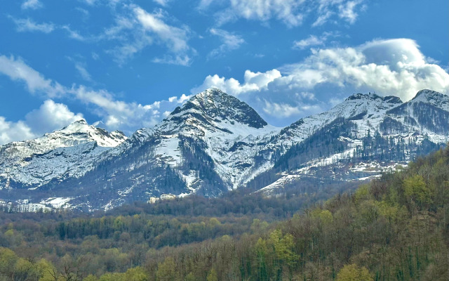 Апартаменты №7 "Полулюкс"