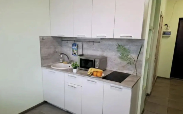 Квартира Свободная Студия