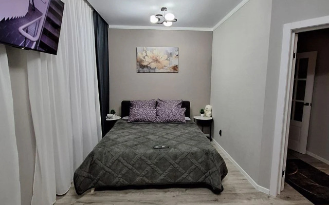 Квартира 1 комнатная Ленина 234