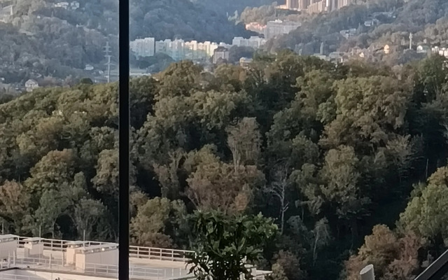 Квартира в Сочи