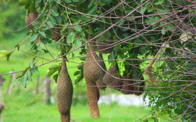 Heina Nature Resort & Yala Safari Hotel Resort