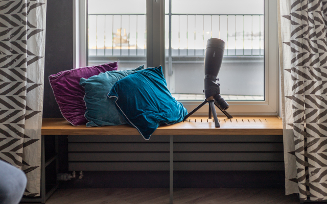 Квартира Питер на Ладони