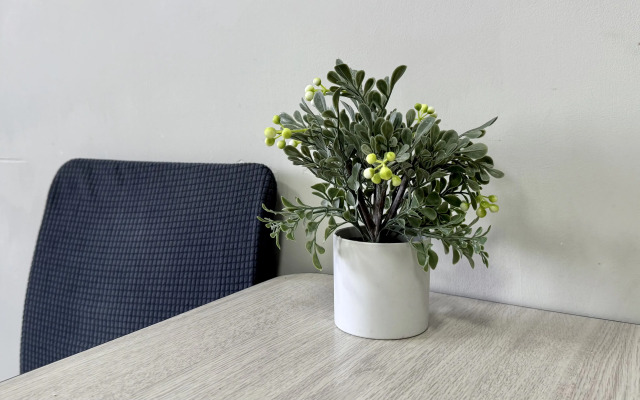 Квартира Уютная студия на Ключевской