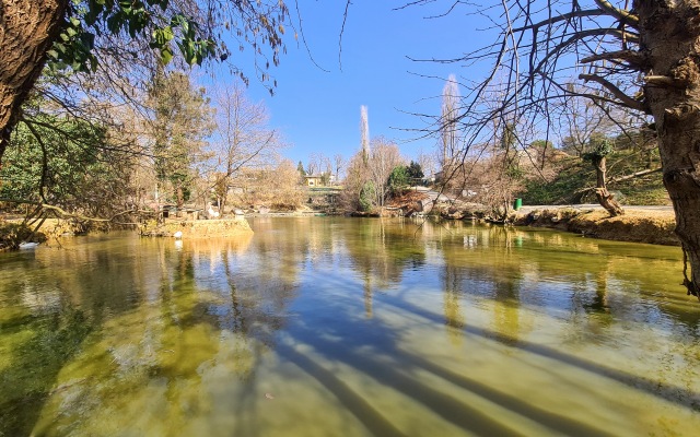 Polonezköy Country Club & Accommodation in the Wildlife Park