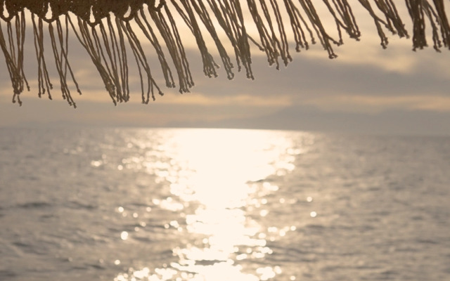 Отель Ethno Belek - Ultra All Inclusive