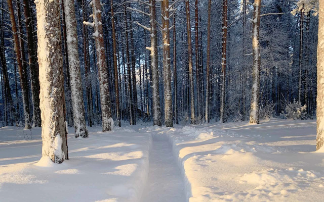 Гостевой Дом Вилла Ранду
