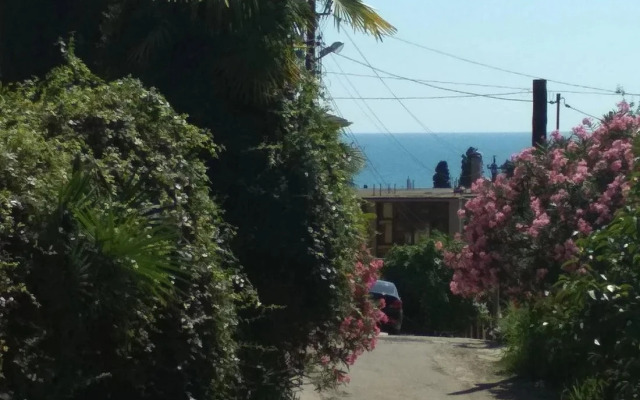 Pod Palmoy Guest House