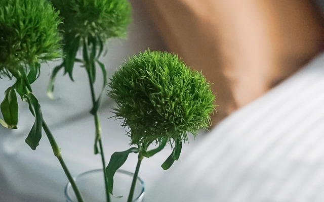 Апартаменты Pavlov C на набережной